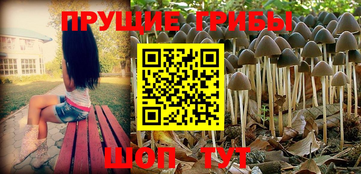 сколько стоит  Галлюциногенные грибы Psilocybine cubensis  Саянск  Вход с VPN  Псилоцибиновые грибы мухоморы 