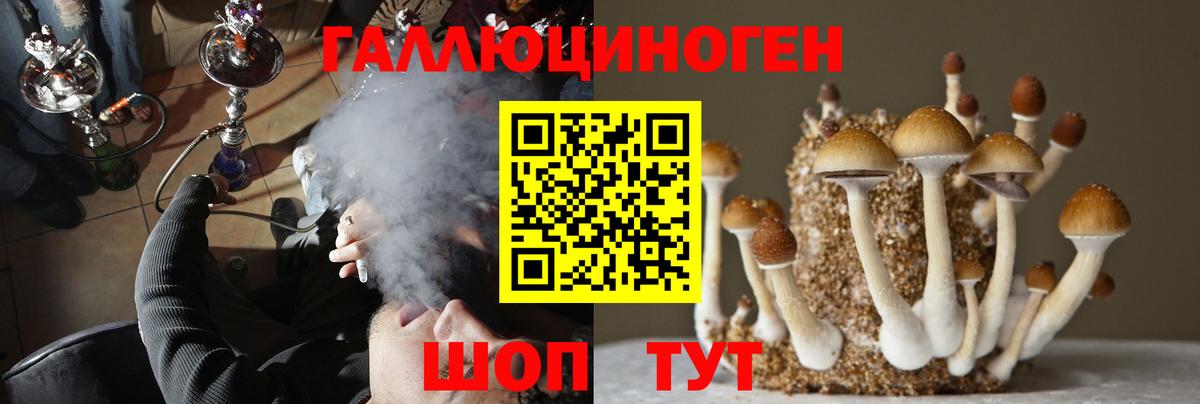 Псилоцибиновые грибы прущие грибы Саянск